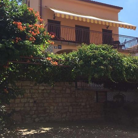 Apartments Renata Primošten Εξωτερικό φωτογραφία