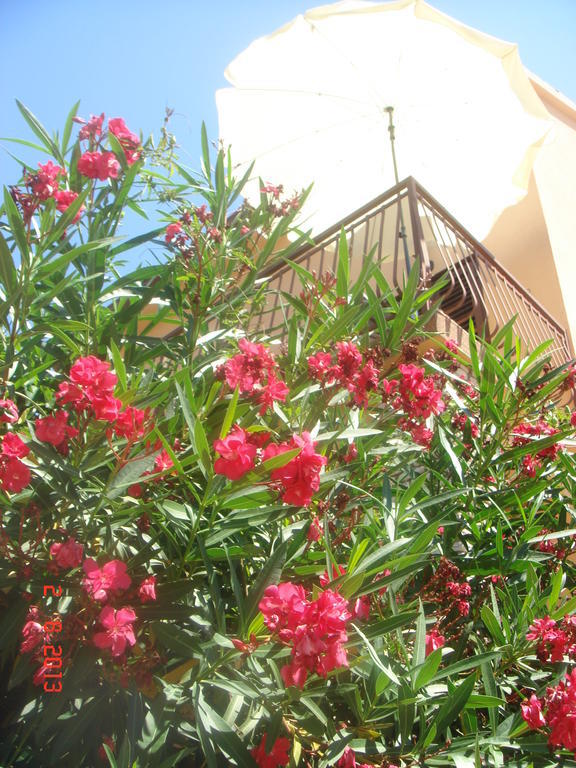 Apartments Renata Primošten Εξωτερικό φωτογραφία
